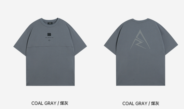 Rigorer T Shirt — Gray