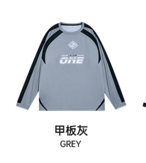 Rigorer Long Sleeve T Shirt — Gray